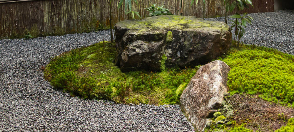 geharkte braune und weiße Kiesflaeche mit japanischem Kiefern-Bonsai