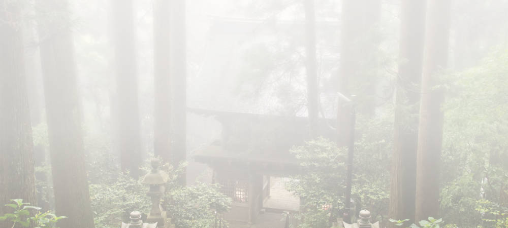 Wald und altes Tempeltor im Nebel